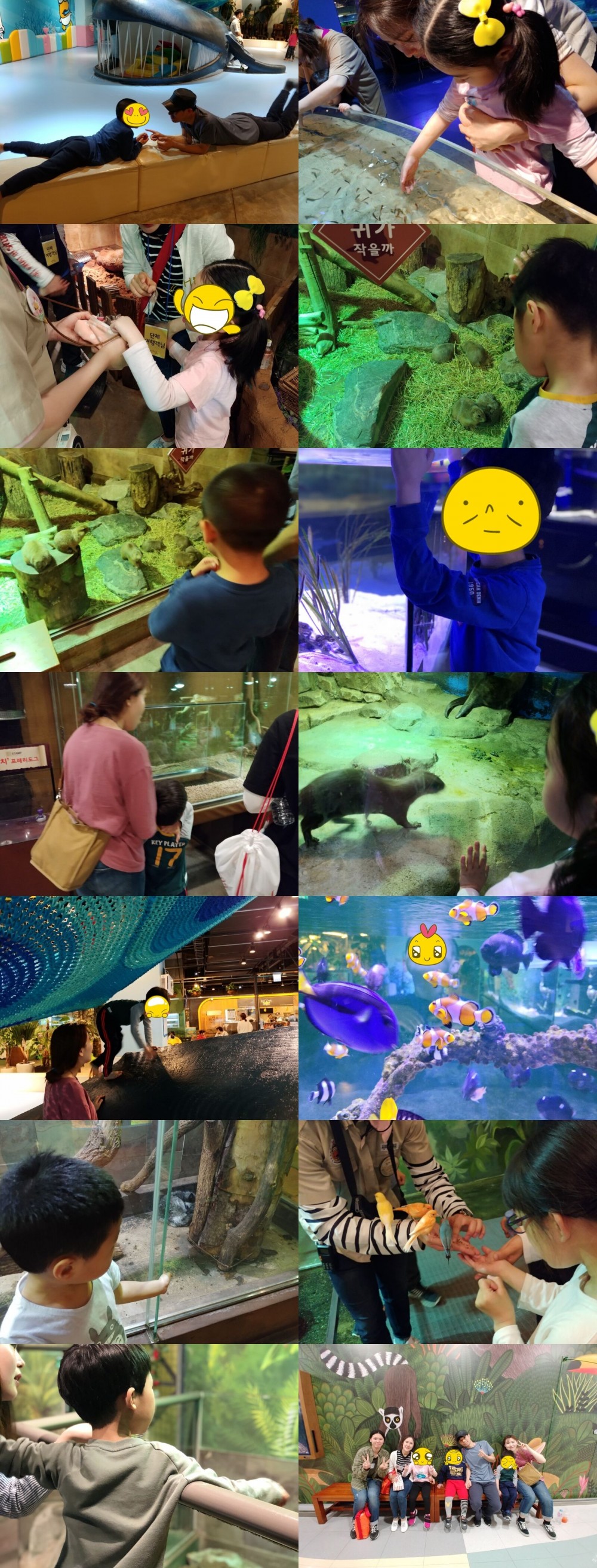6fe01cd2c8fc87643e5d52595ea4f3f2_1526015140_14.jpg