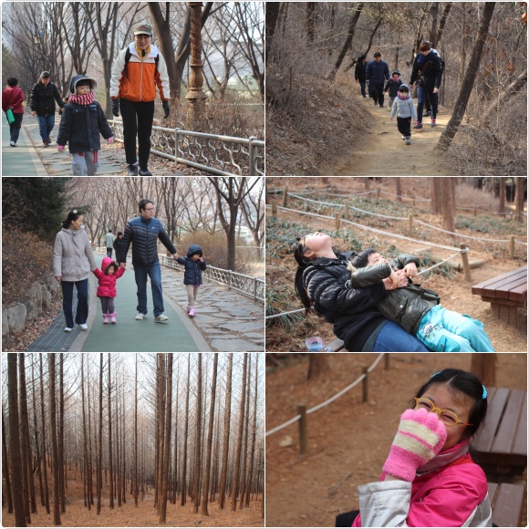 숲속체험학교 서대문 안산 오르기~ 숲속체험학교 서대문 안산 오르기~