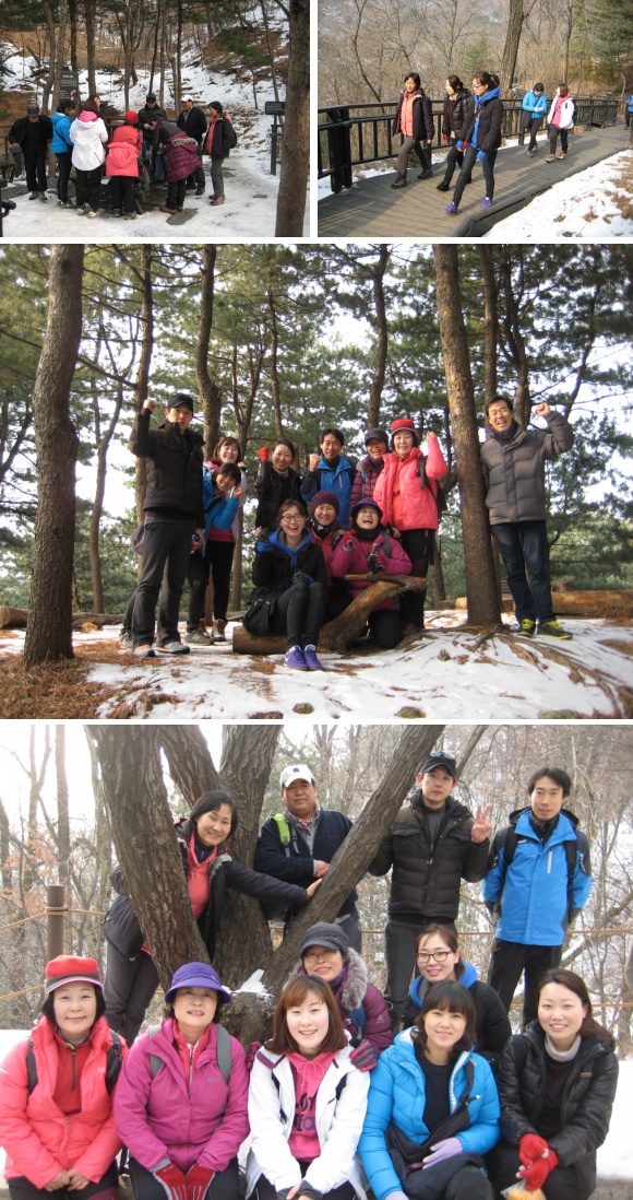 직원단합 토요산행 직원단합 토요산행