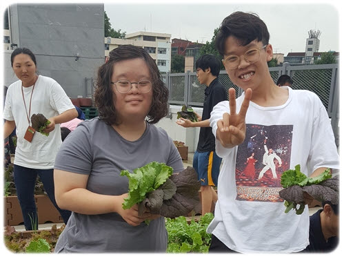 싱싱텃밭 이야기 싱싱텃밭 이야기