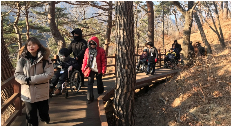 나눔의 숲캠프 "어서 와, 숲치유는 처음이지?"