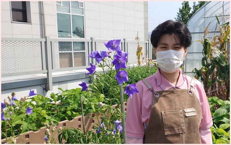 도라지꽃보다... 도라지꽃보다...