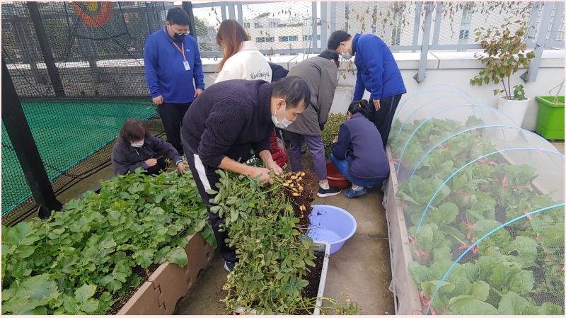 쑥크농, 그것이 알고 싶다~ 쑥크농, 그것이 알고 싶다~