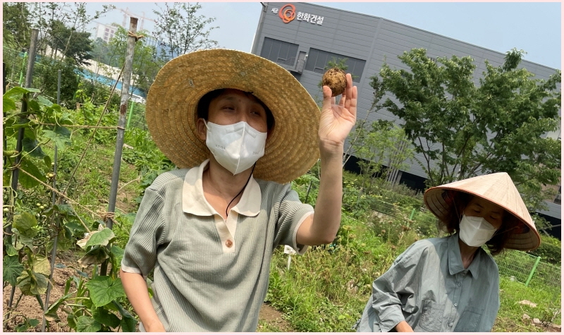 수확의 기쁨 수확의 기쁨