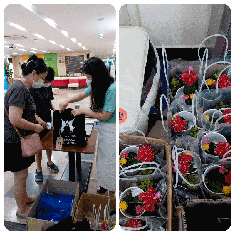 CJ ENM과 함께하는 "온가족 돌봄- 친환경 비대면 교육" CJ ENM과 함께하는 "온가족 돌봄- 친환경 비대면 교육"
