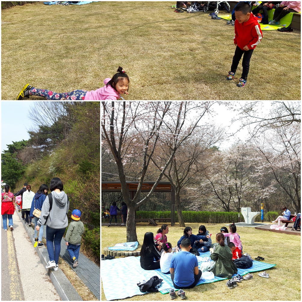 봄향기 가득한 숲속체험학교와 발달장애인테마체험교실 봄향기 가득한 숲속체험학교와 발달장애인테마체험교실