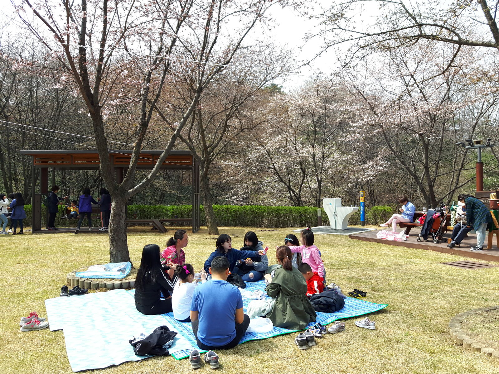 봄향기 가득한 숲속체험학교와 발달장애인테마체험교실 봄향기 가득한 숲속체험학교와 발달장애인테마체험교실