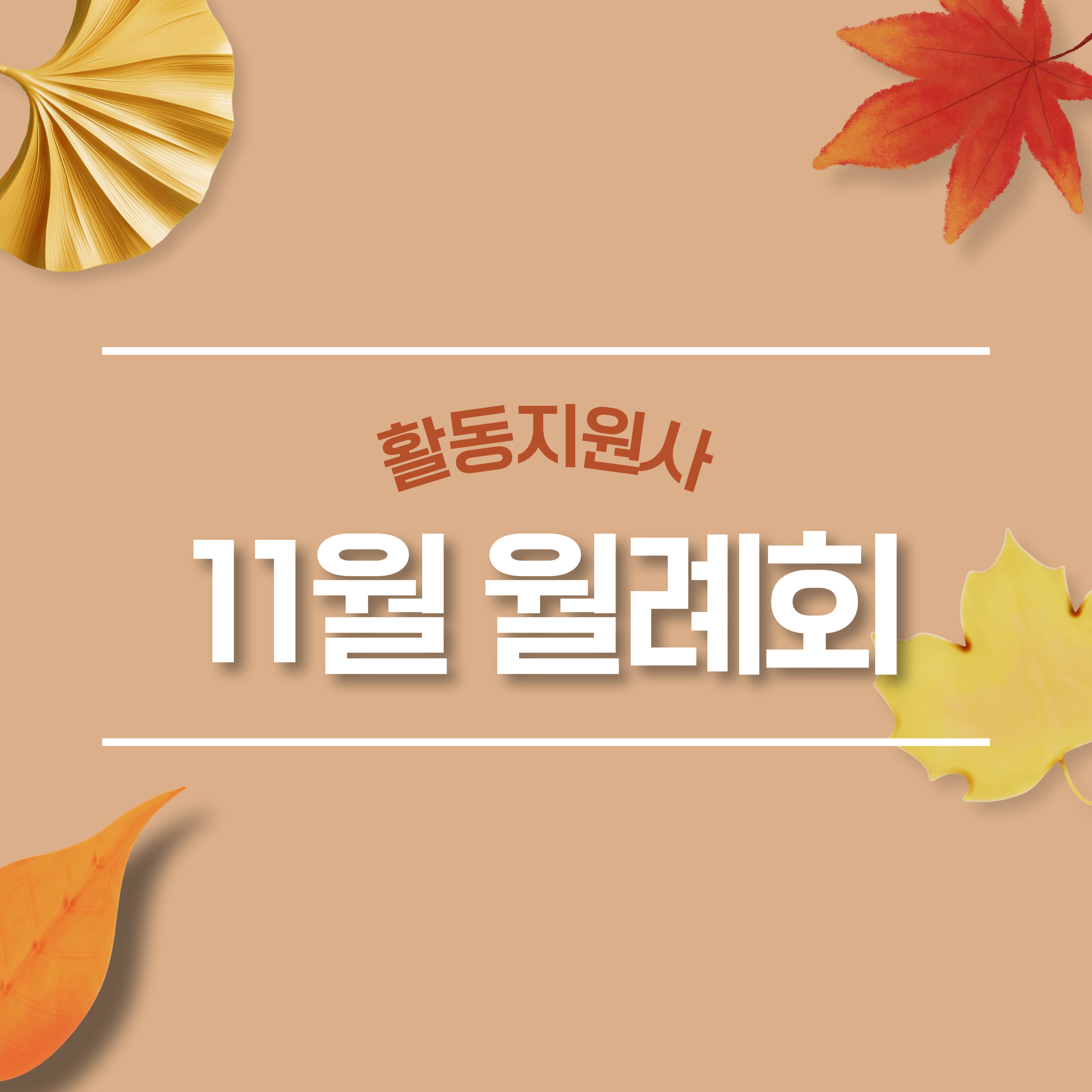 활동지원사 11월 월례회